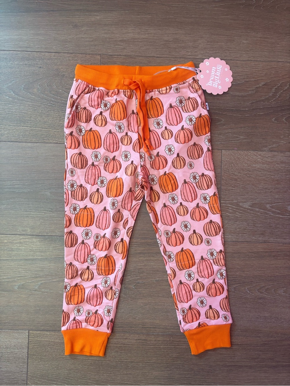 Adorable girls fall pumpkin bamboo comfy pants NWT! (Size 3/4t)